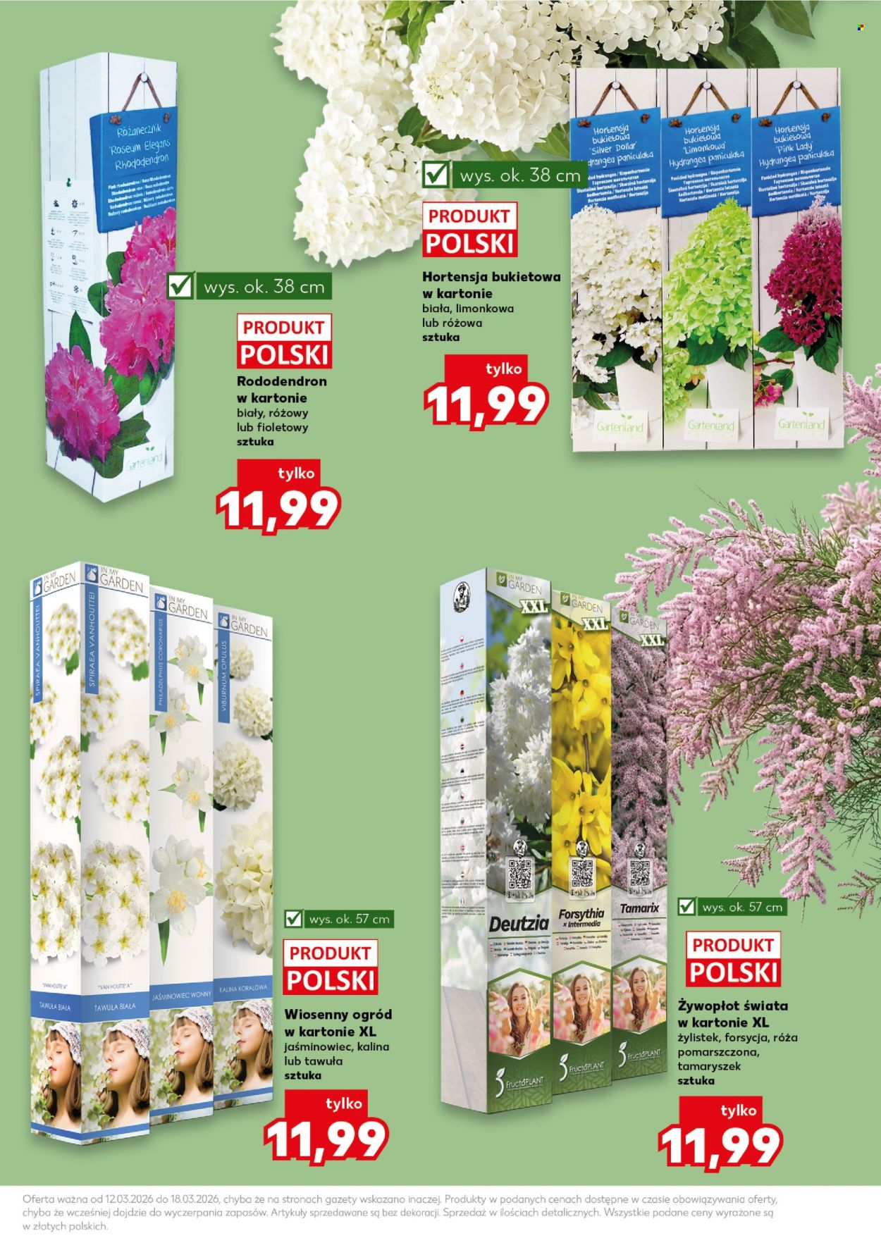 Gazetka Kaufland - 12.03.2026 - 18.03.2026. Strona 11
