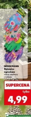 WORKMANN Rękawice ogrodowe