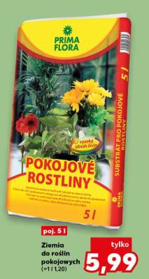 Ziemia do roślin pokojowych