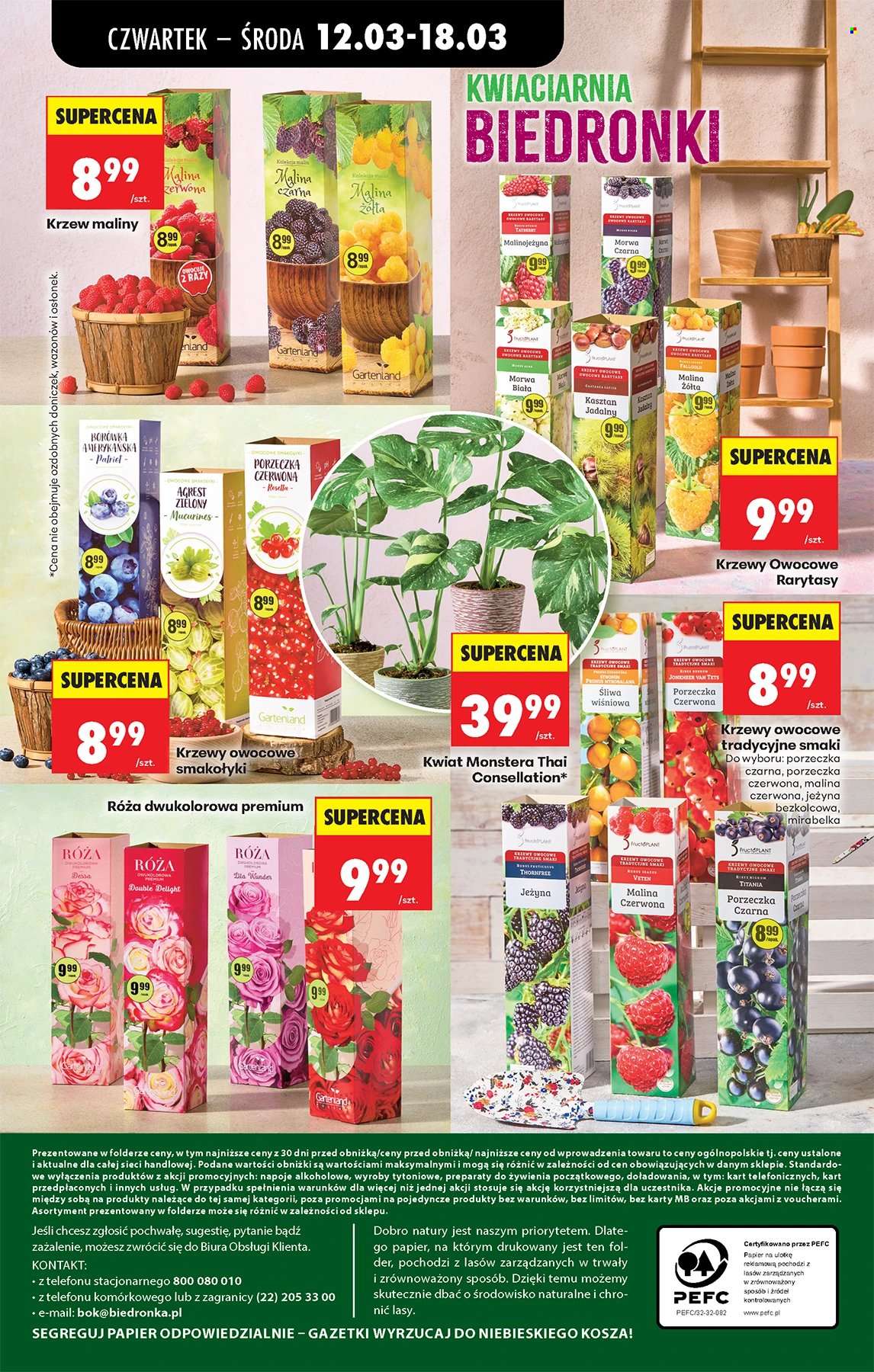 Gazetka Biedronka - 12.03.2026 - 18.03.2026. Strona 64