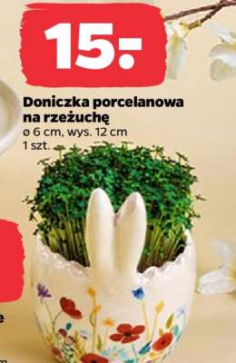 Doniczka porcelanowa na rzeżuchę