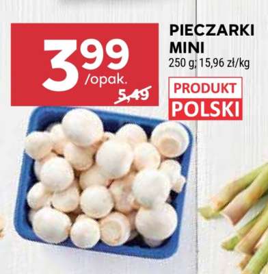 Pieczarki mini