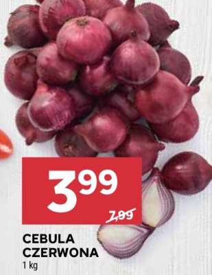 Cebula czerwona