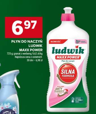 Płyn do naczyń Ludwik Maxx Power