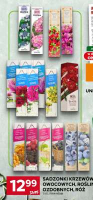 Sadzonki krzewów owocowych, roślin ozdobnych, róż