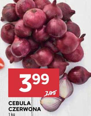 Cebula czerwona