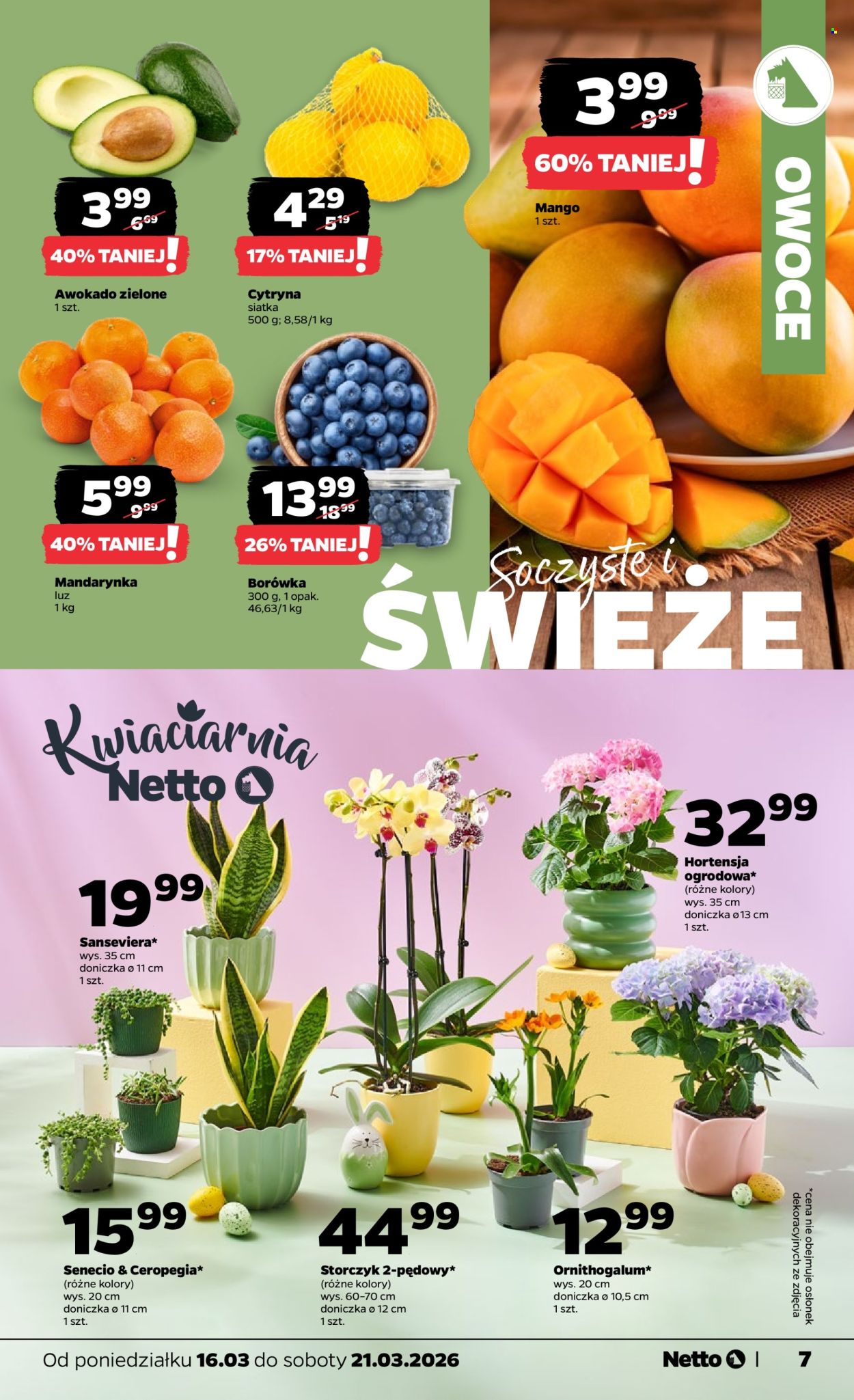 Gazetka Netto - 16.03.2026 - 21.03.2026. Strona 7