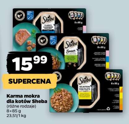 Karma mokra dla kotów Sheba