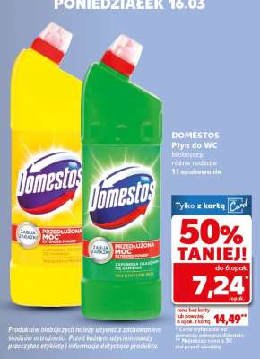 DOMESTOS Płyn do WC