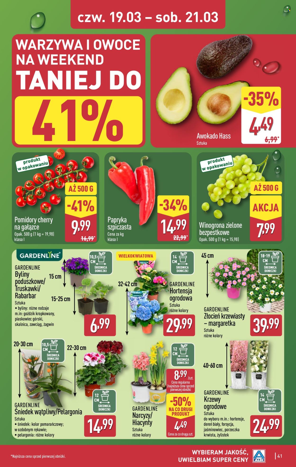 Gazetka ALDI - 16.03.2026 - 21.03.2026. Strona 41