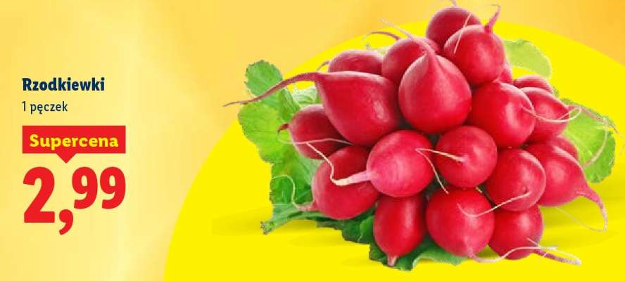 rzodkiewki