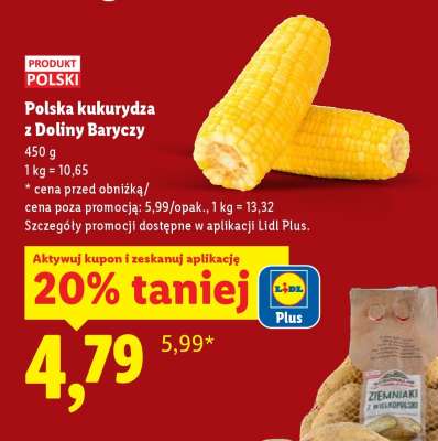 Polska kukurydza z Doliny Baryczy