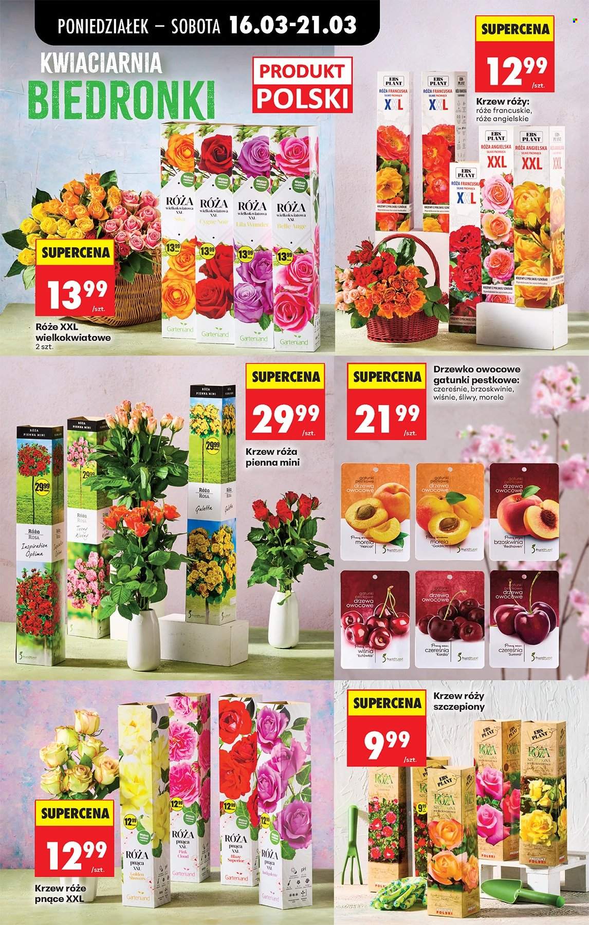 Gazetka Biedronka - 16.03.2026 - 21.03.2026. Strona 65