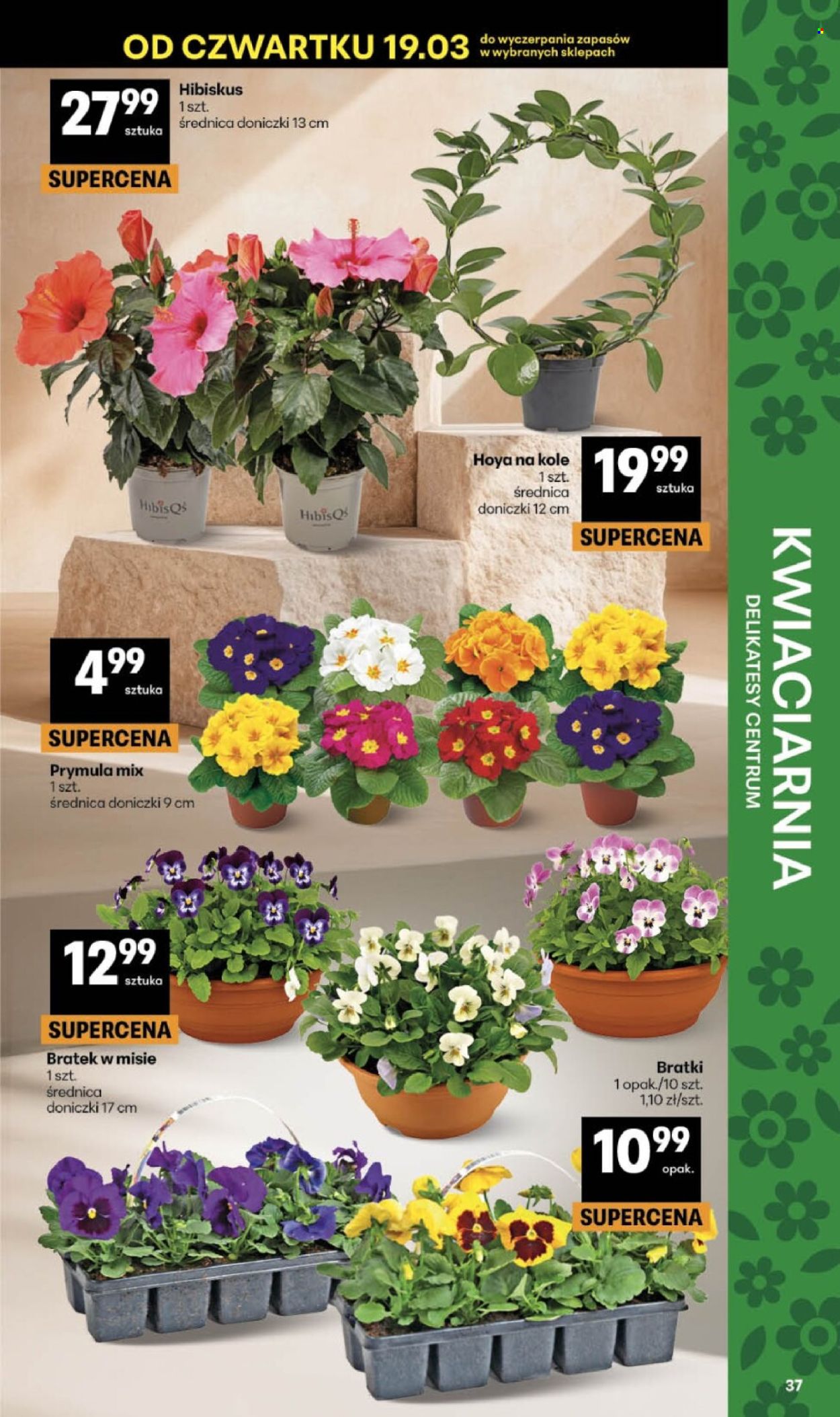 Gazetka Delikatesy Centrum - 19.03.2026 - 25.03.2026. Strona 37