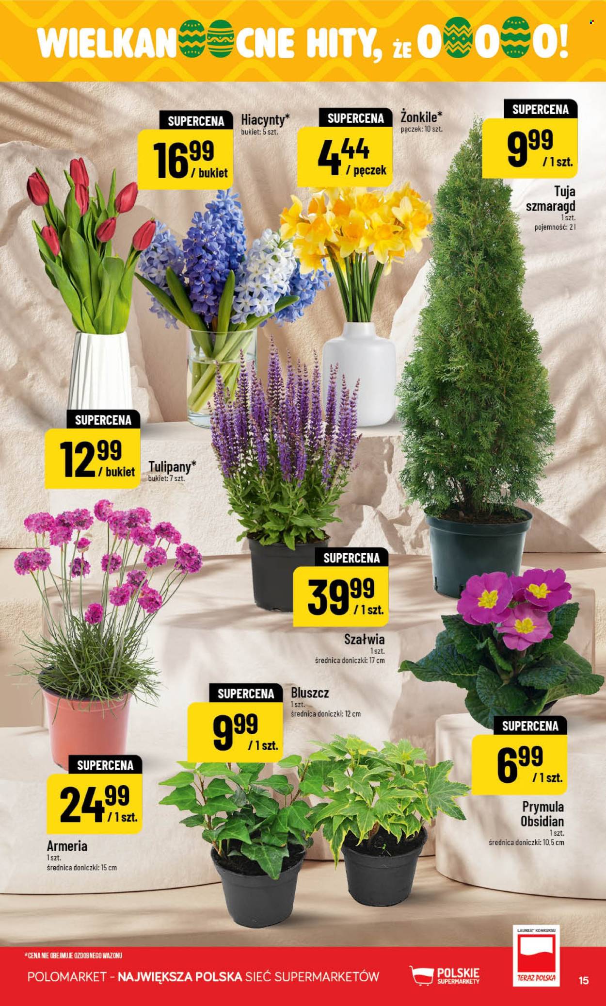 Gazetka Polomarket - 18.03.2026 - 24.03.2026. Strona 15