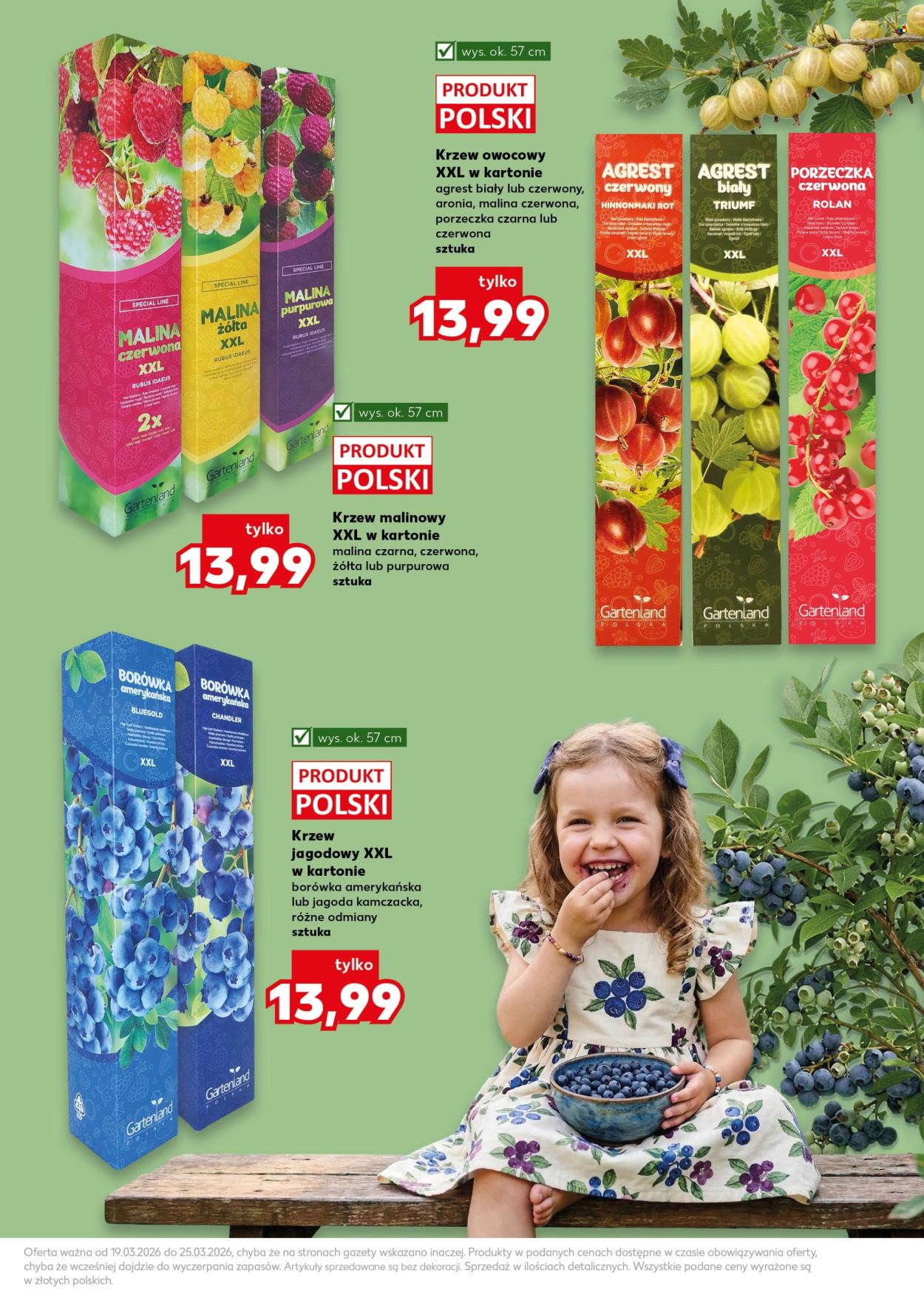 Gazetka Kaufland - 19.03.2026 - 25.03.2026. Strona 11