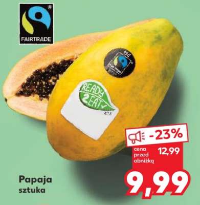 Papaja sztuka