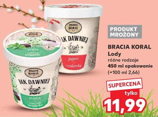 BRACIA KORAL Lody