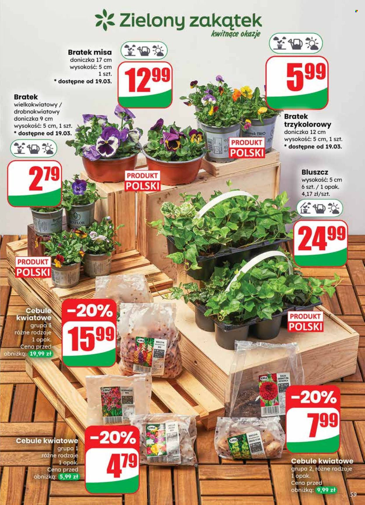 Gazetka Dino - 18.03.2026 - 24.03.2026. Strona 59