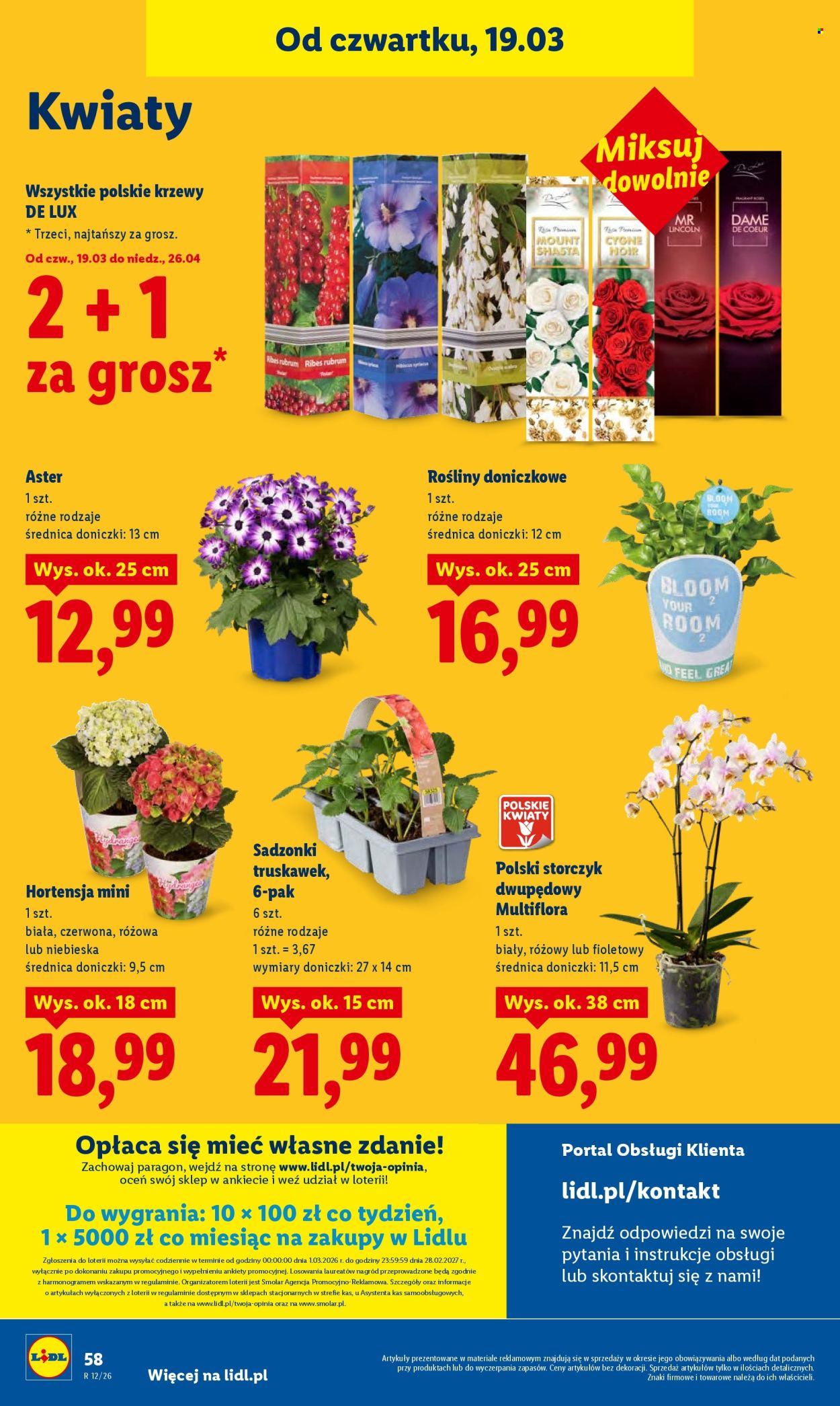 Gazetka Lidl - 19.03.2026 - 21.03.2026. Strona 58