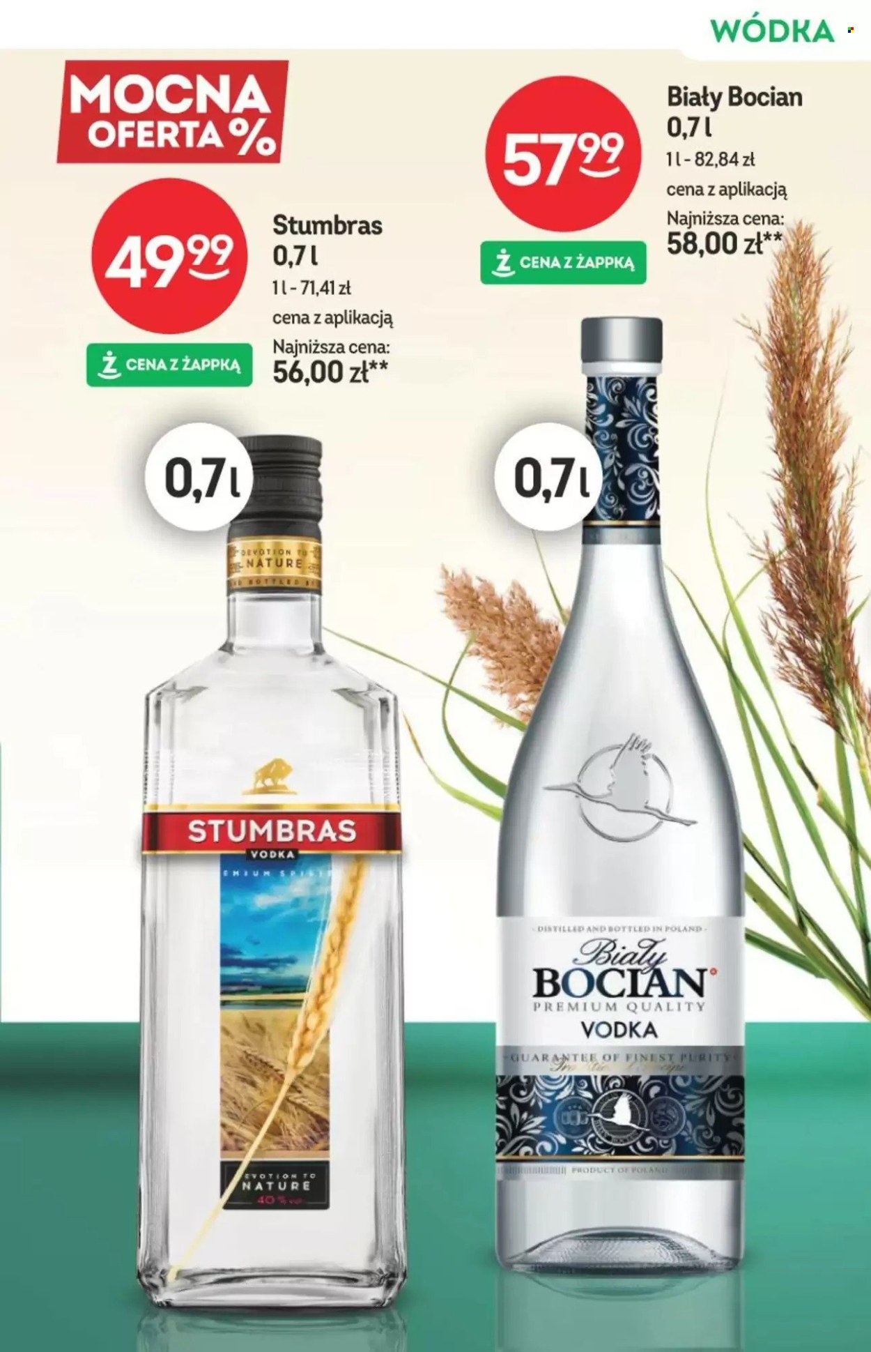 Gazetka Żabka - 18.03.2026 - 31.03.2026. Strona 17