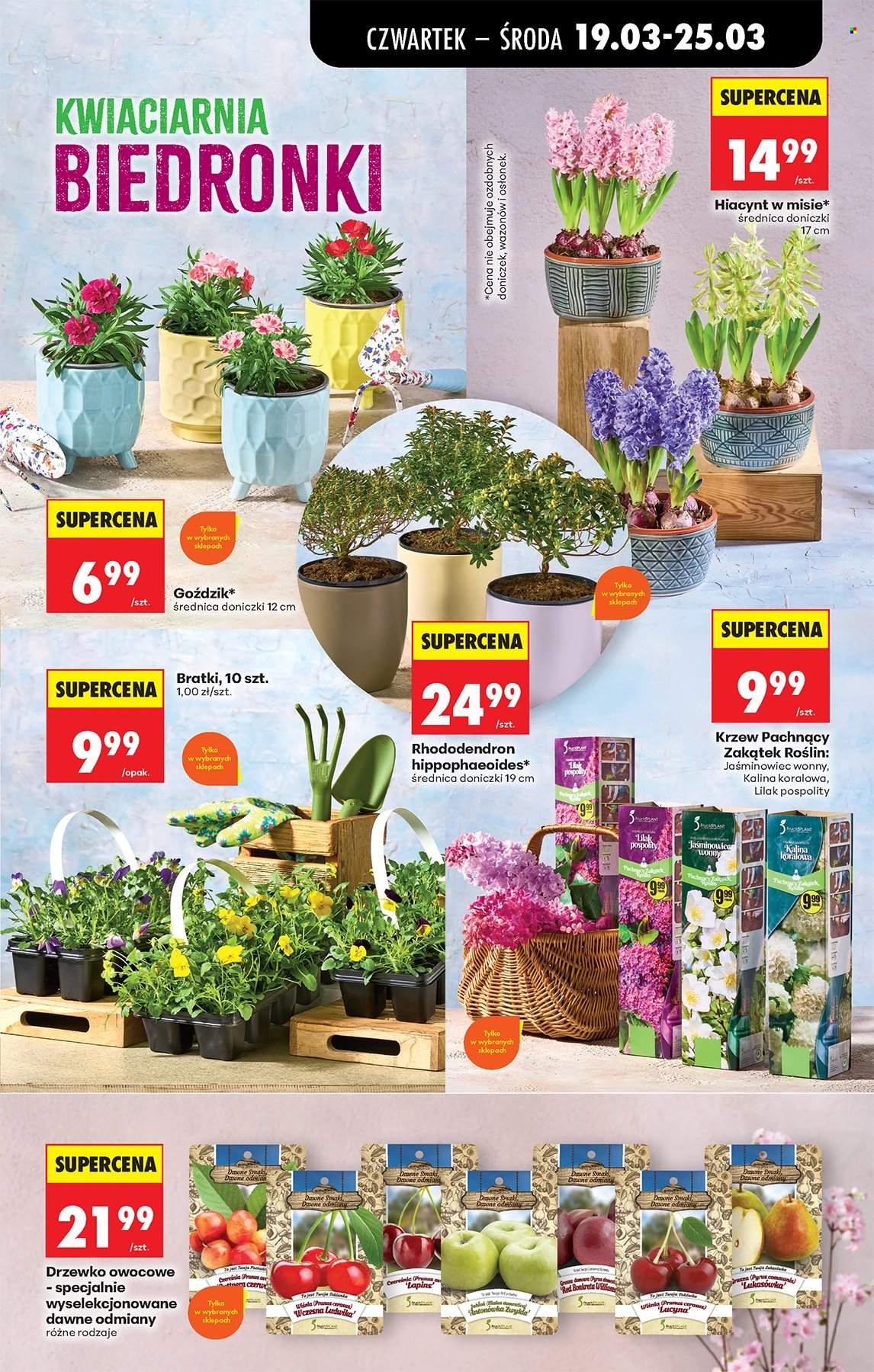 Gazetka Biedronka - 19.03.2026 - 25.03.2026. Strona 63