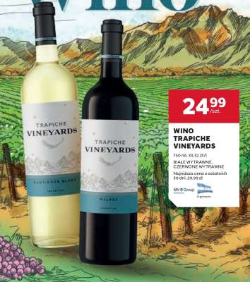 Wino Trapiche Vineyards