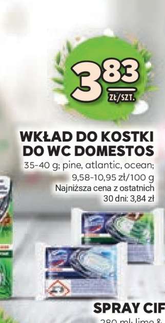 WKŁAD DO KOSTKI DO WC DOMESTOS