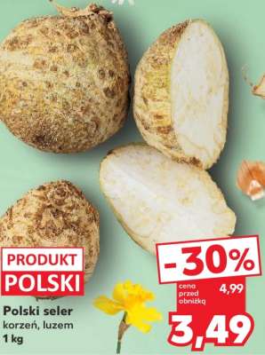 Polski seler korzeń luzem 1 kg
