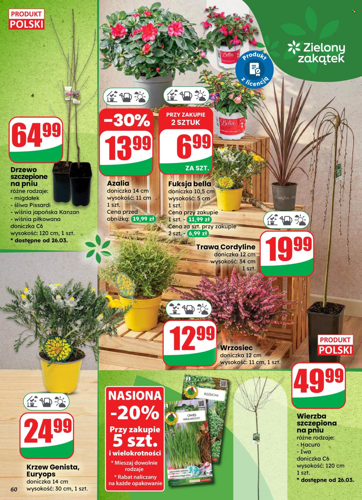 Gazetka Dino - 25.03.2026 - 31.03.2026. Strona 60