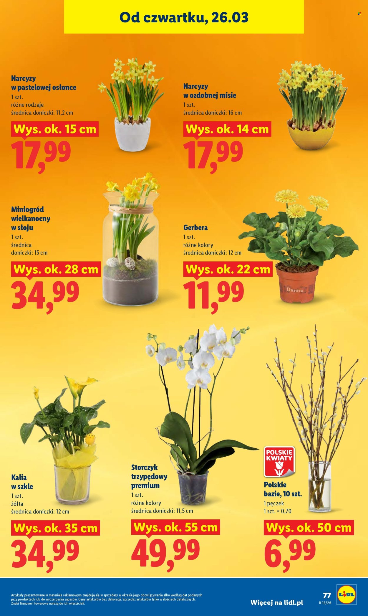 Gazetka Lidl - 26.03.2026 - 29.03.2026. Strona 77