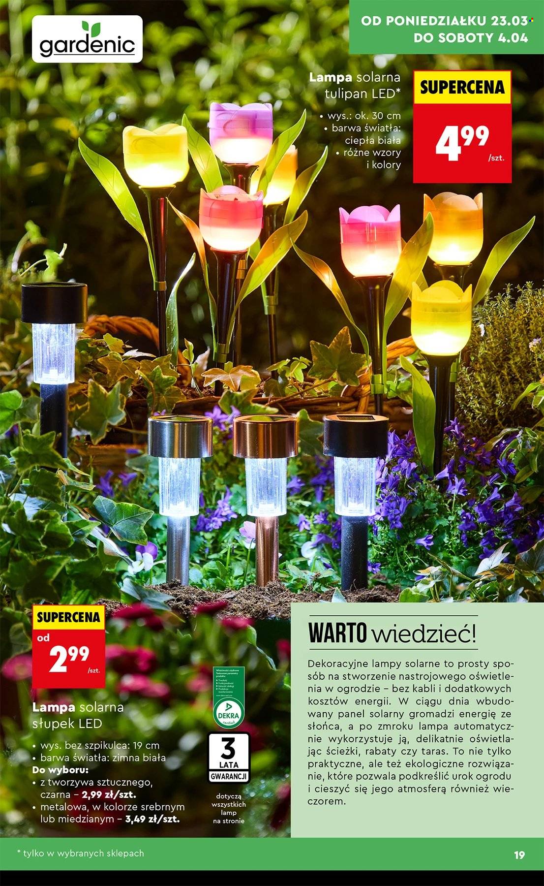 Gazetka Biedronka - 23.03.2026 - 4.04.2026. Strona 19