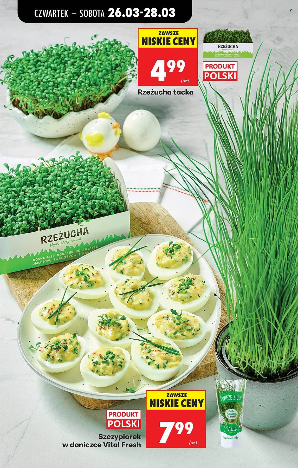 Gazetka Biedronka - 26.03.2026 - 31.03.2026. Strona 84