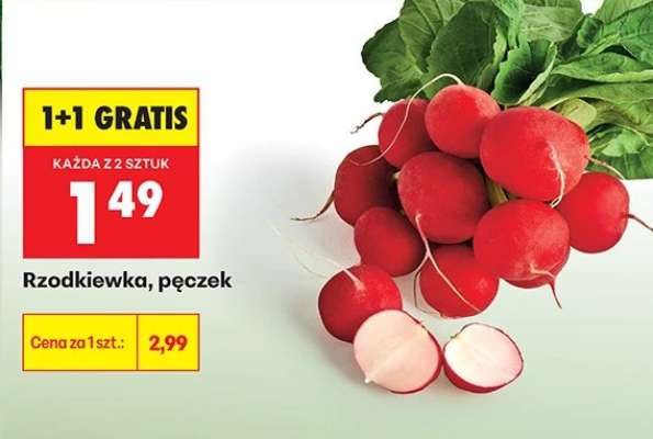 Rzodkiewka pęczek