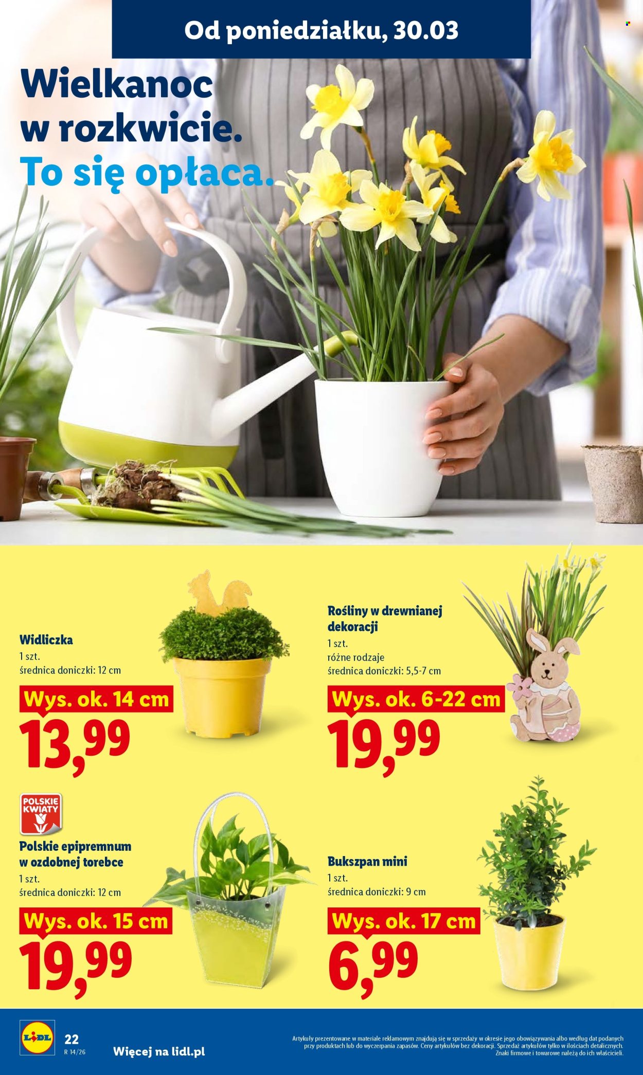 Gazetka Lidl - 30.03.2026 - 1.04.2026. Strona 22