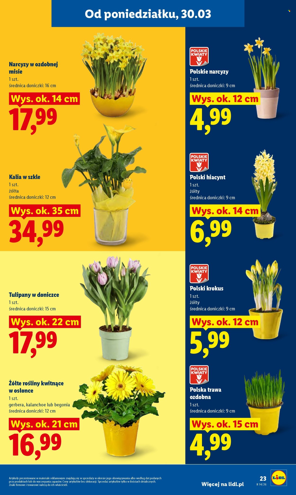 Gazetka Lidl - 30.03.2026 - 1.04.2026. Strona 23