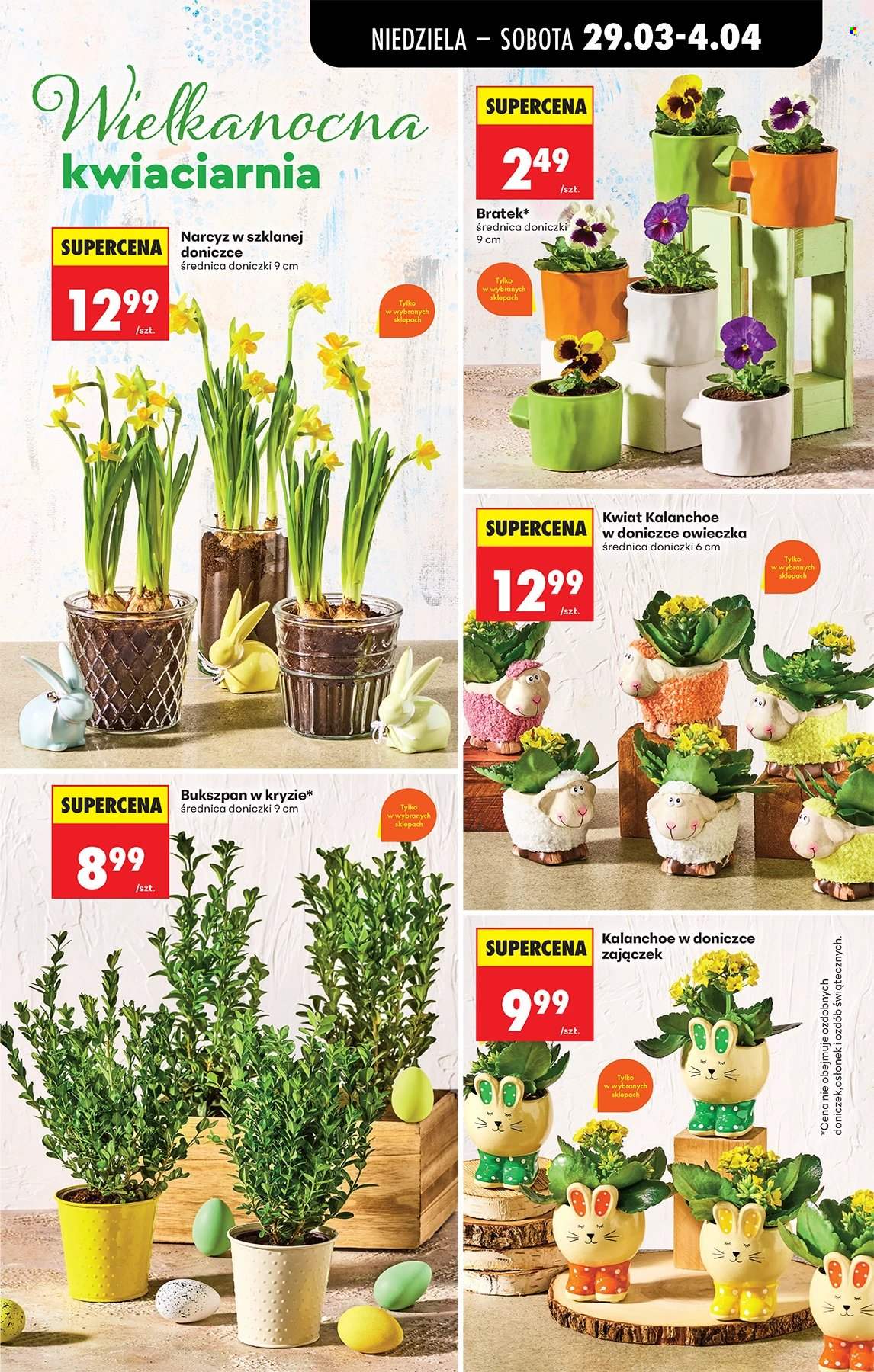 Gazetka Biedronka - 29.03.2026 - 4.04.2026. Strona 19