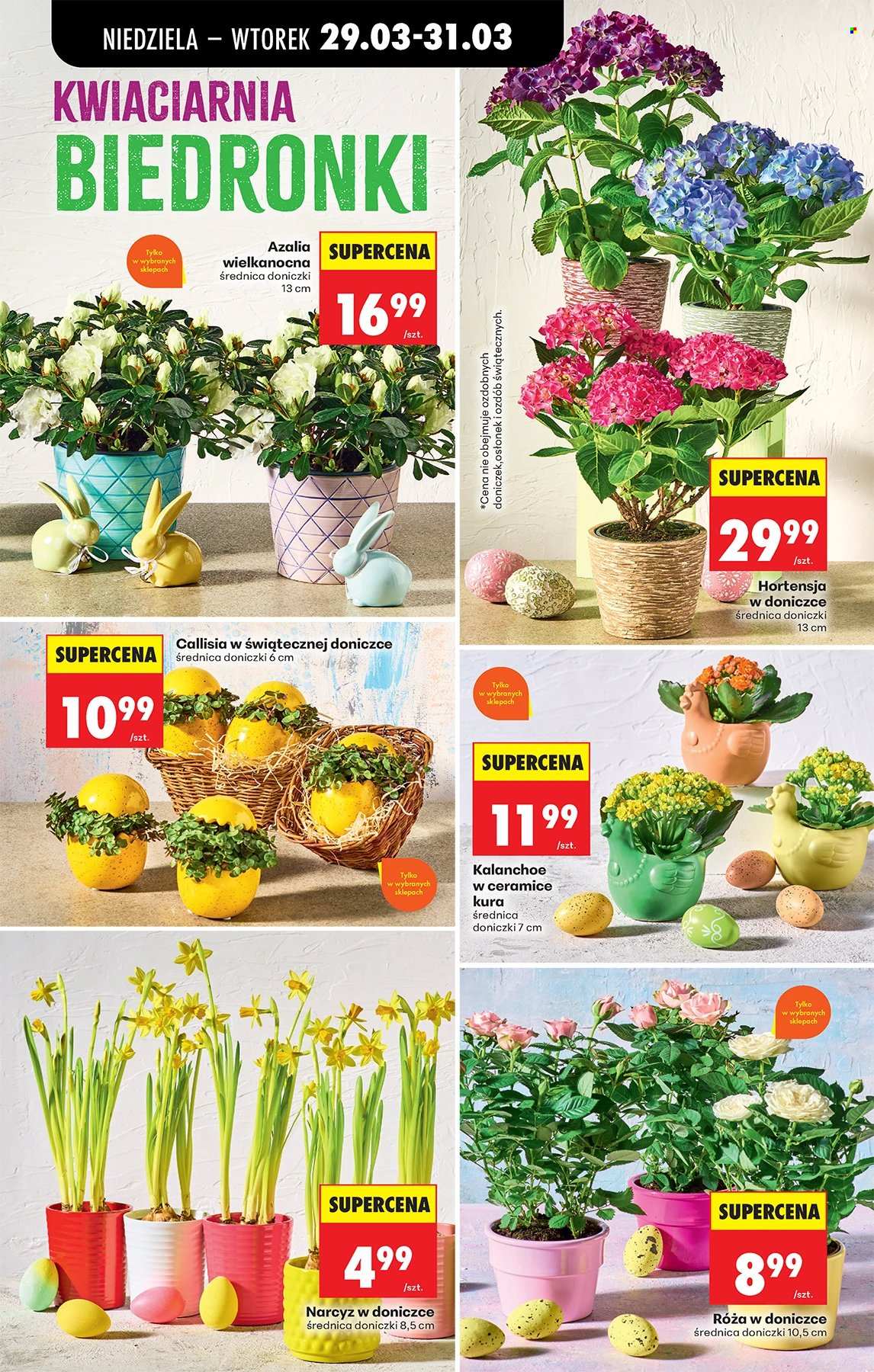 Gazetka Biedronka - 29.03.2026 - 4.04.2026. Strona 75