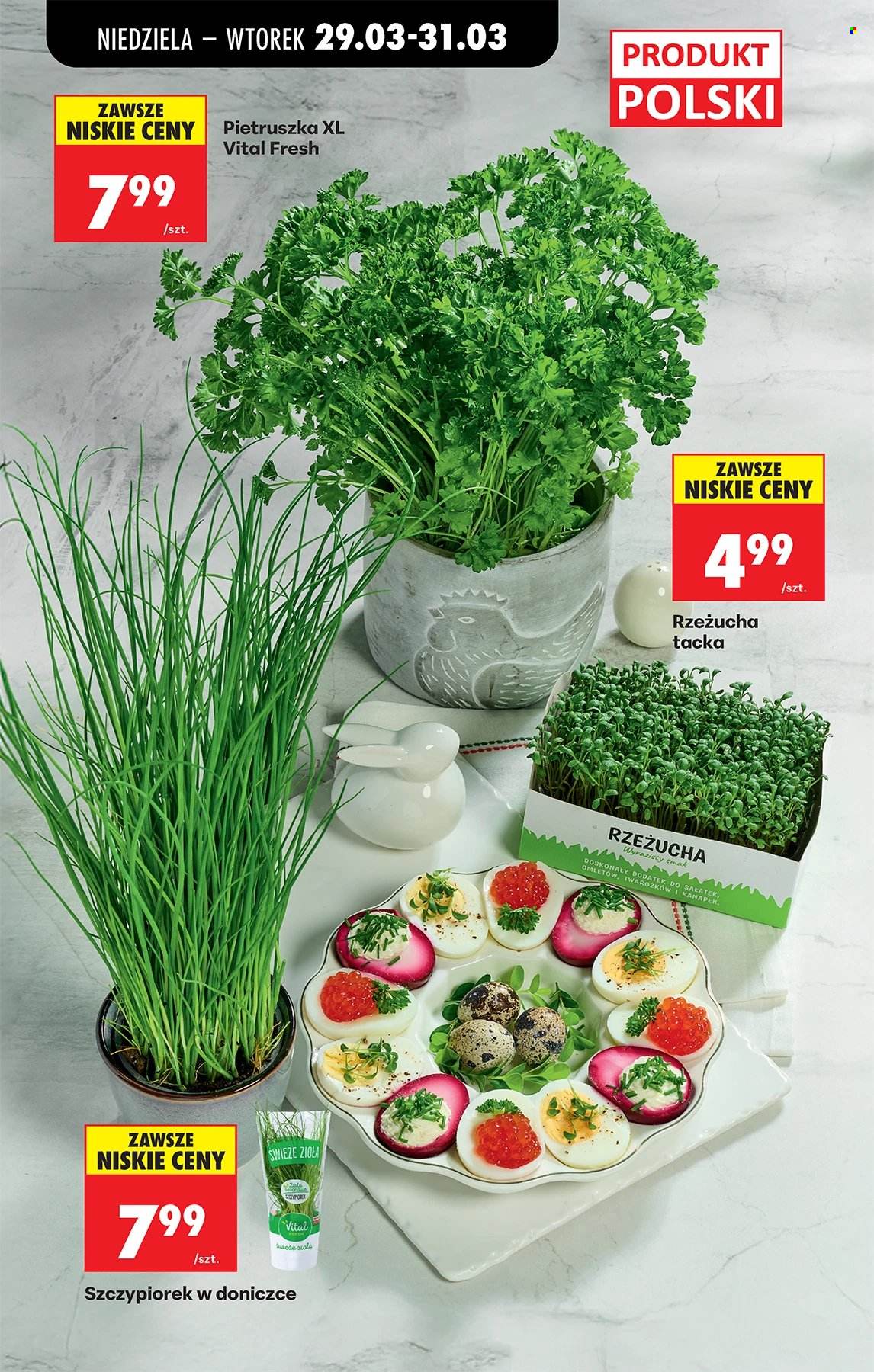 Gazetka Biedronka - 29.03.2026 - 4.04.2026. Strona 95