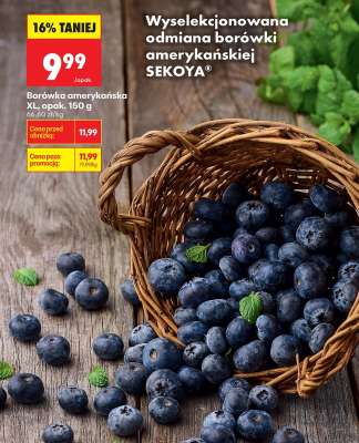 Borówka amerykańska XL, opak. 150 g
