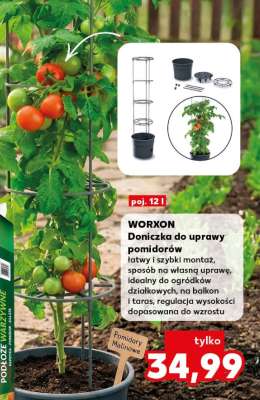 WORXON Doniczka do uprawy pomidorów