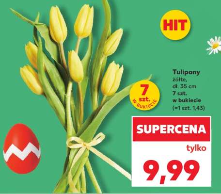 Tulipany żółte