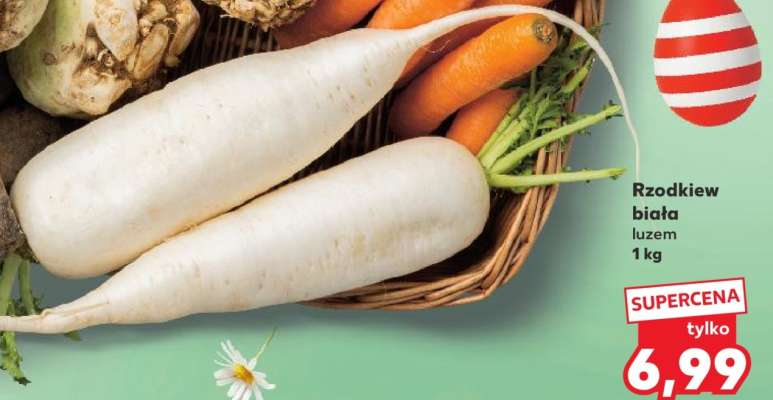 Rzodkiew biała luzem 1 kg