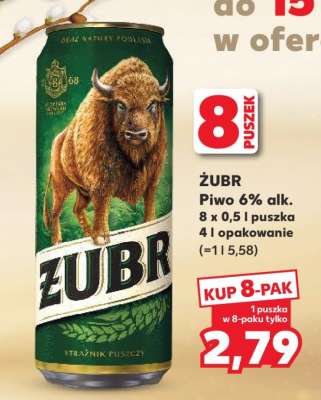 Żubr