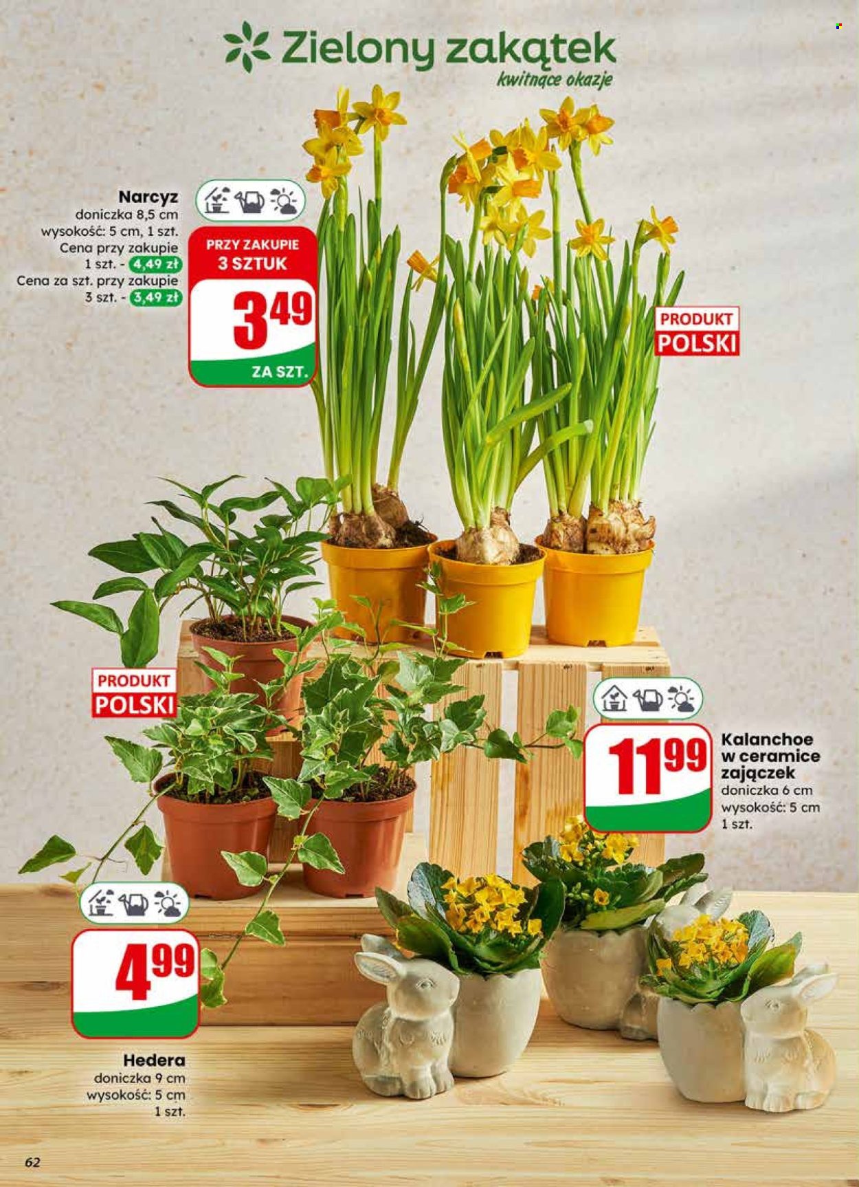 Gazetka Dino - 1.04.2026 - 7.04.2026. Strona 62