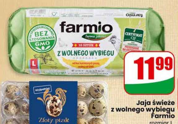 Jaja świeże z wolnego wybiegu Farmio
