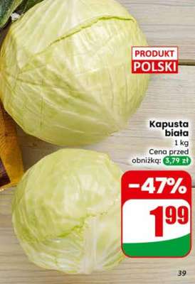 Kapusta biała