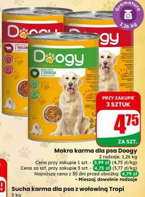 Mokra karma dla psa Doogy