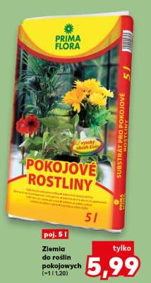 Ziemia do roślin pokojowych