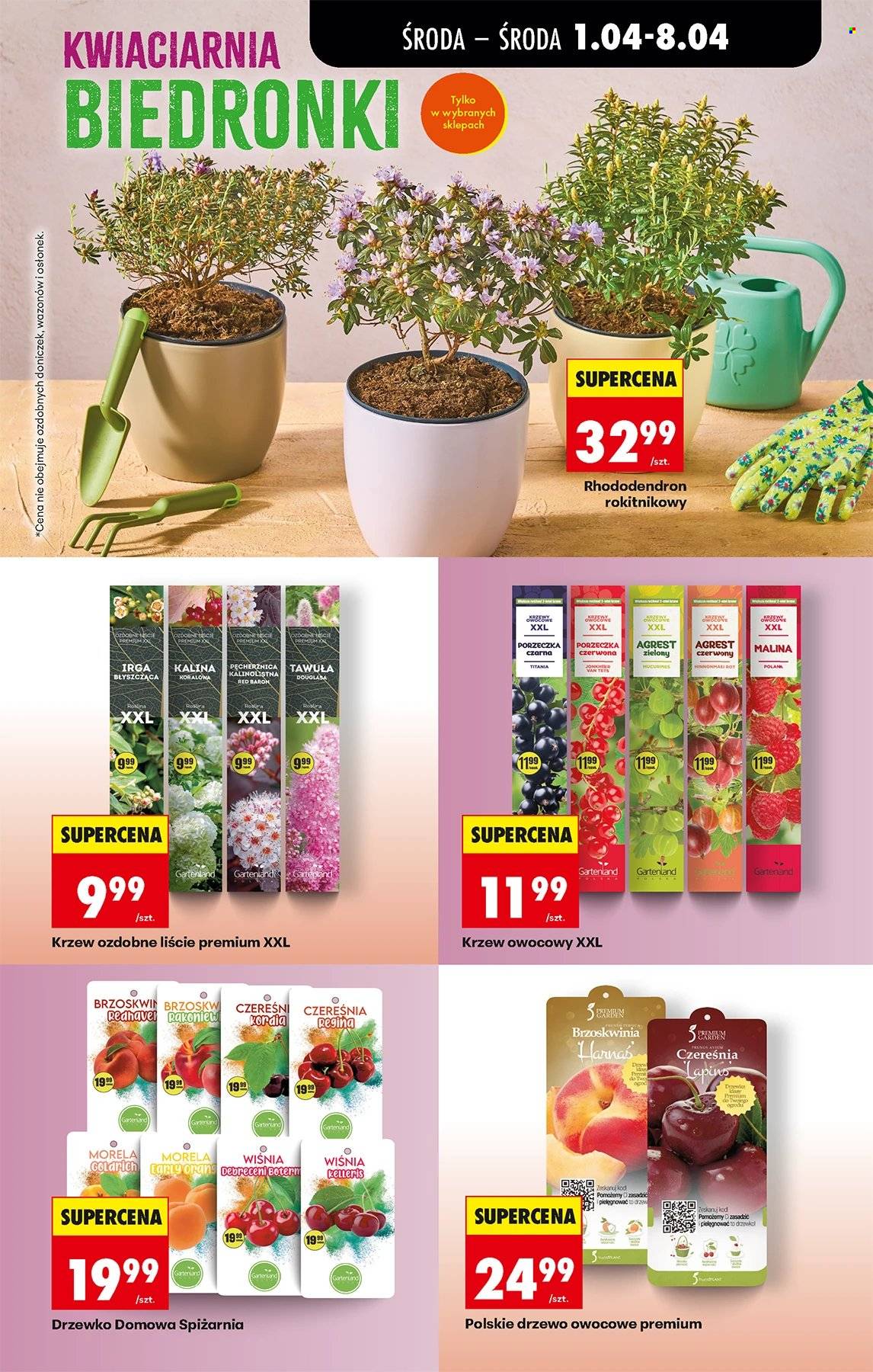 Gazetka Biedronka - 1.04.2026 - 8.04.2026. Strona 71